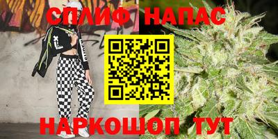 спайс Малгобек