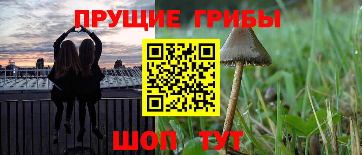где можно купить наркотик  Галлюциногенные грибы Magic Shrooms  Вход с VPN  Гулькевичи 